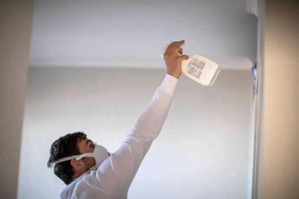 Best Fast Mold Removal  in Brown Deer, WI