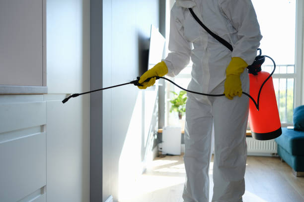 Best Mold Cleaning Services  in Brown Deer, WI